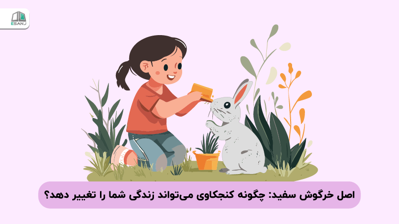 اصل خرگوش سفید: چگونه کنجکاوی می‌تواند زندگی شما را تغییر دهد؟